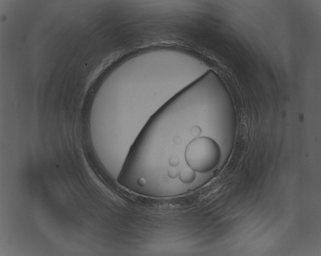 X0000071820734200606301010