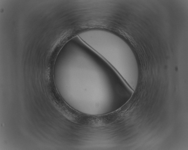 X0000071820735200606301010