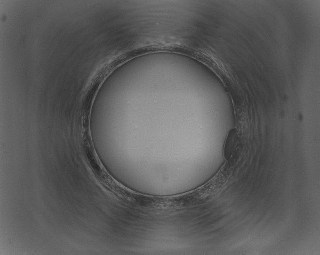 X0000071820736200606301010