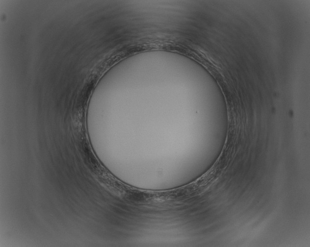 X0000071820737200606301010