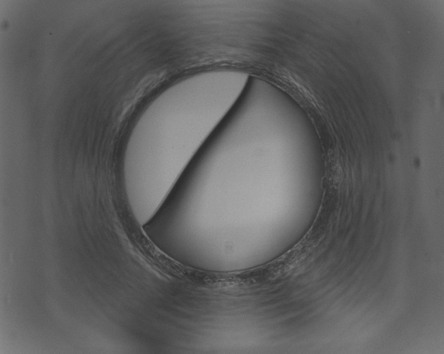X0000071820738200606301010