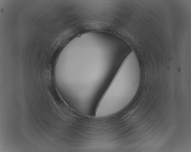 X0000071820739200606301010