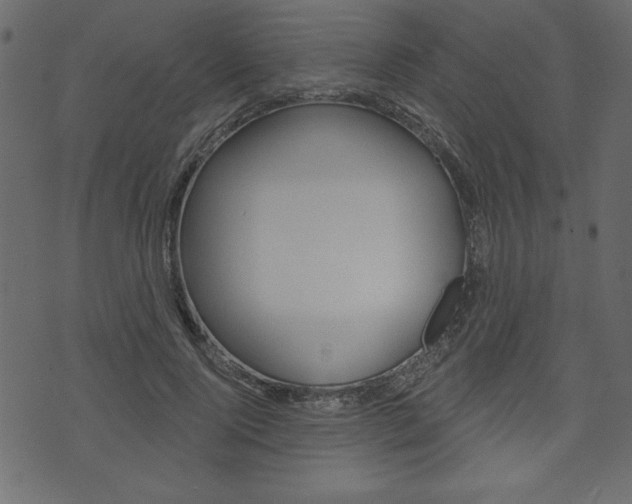 X0000071820740200606301010