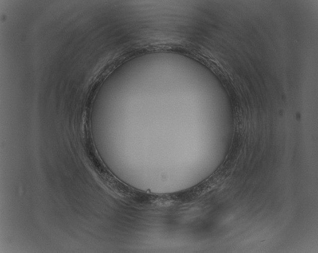 X0000071820742200606301010