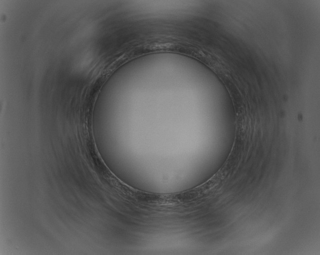 X0000071820743200606301010
