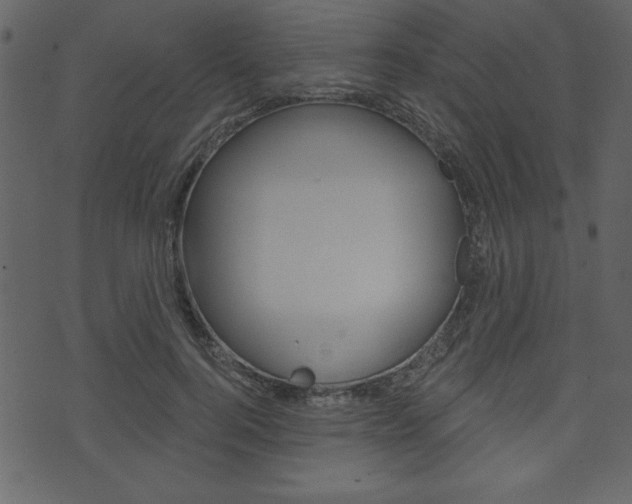 X0000071820744200606301010