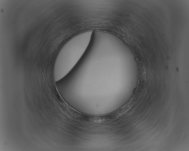 X0000071820746200606301010