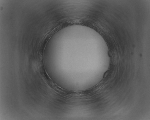 X0000071820747200606301010