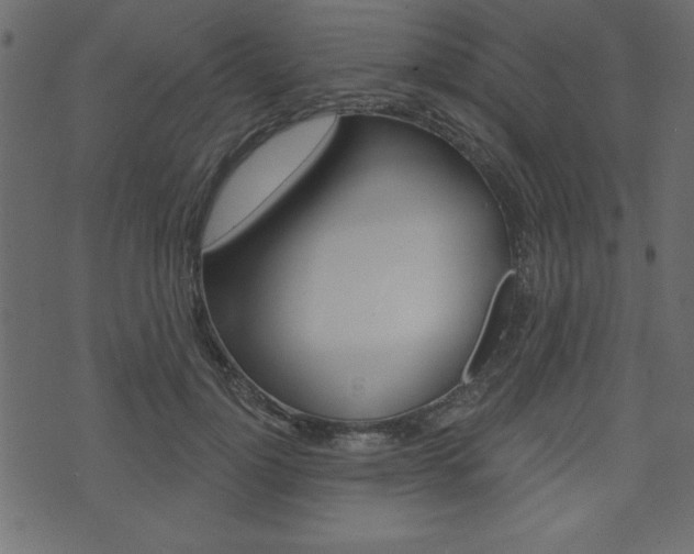 X0000071820748200606301010