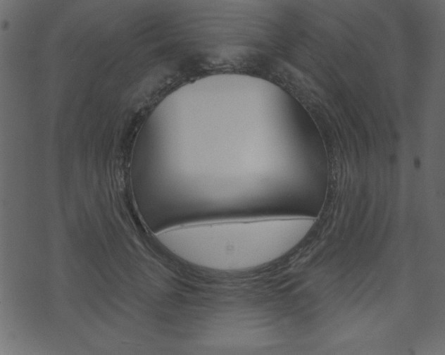 X0000071820751200606301010