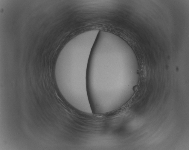 X0000071820753200606301010