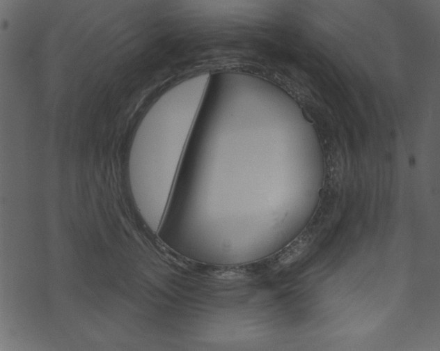 X0000071820755200606301010
