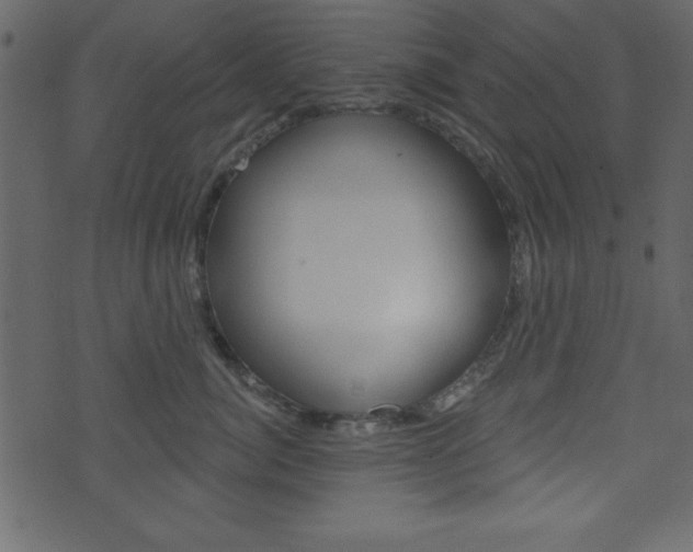 X0000071820764200606301010