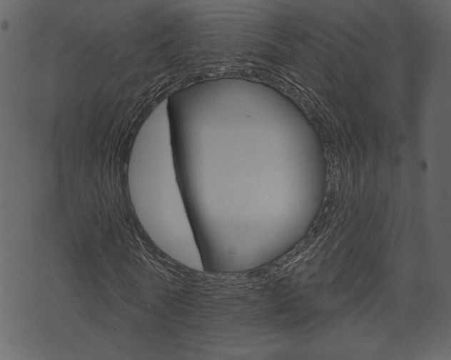 X0000071820770200606301010