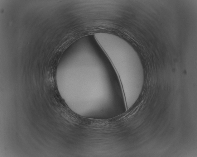 X0000071820771200606301009