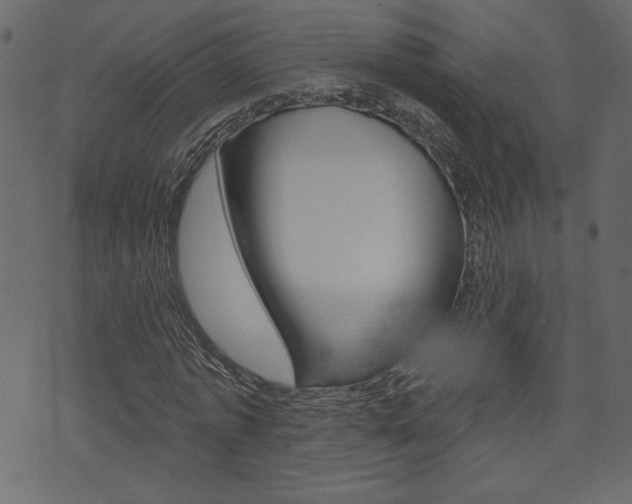 X0000071820773200606301009