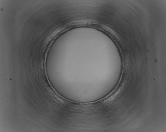 X0000071820778200606301009