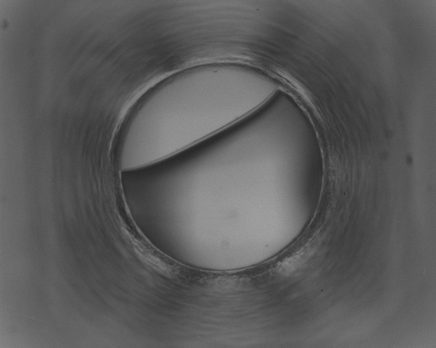 X0000071820779200606301009