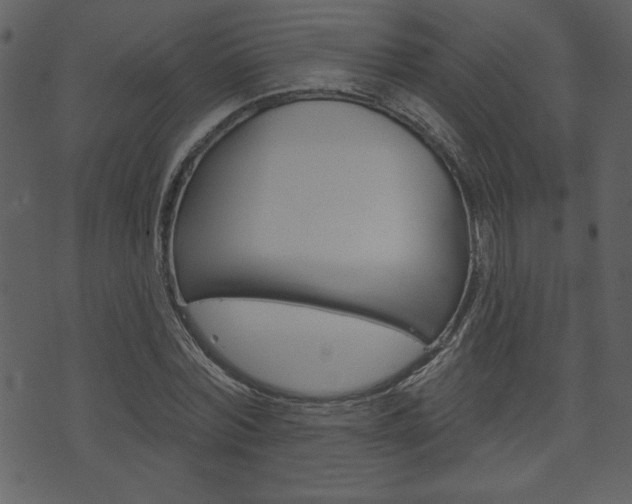 X0000071820780200606301009