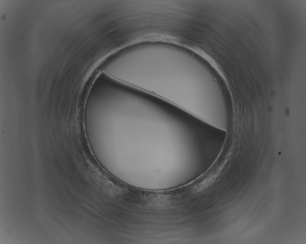 X0000071820783200606301009