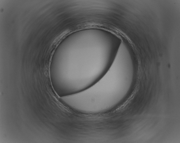 X0000071820785200606301009