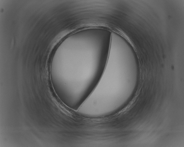 X0000071820787200606301009