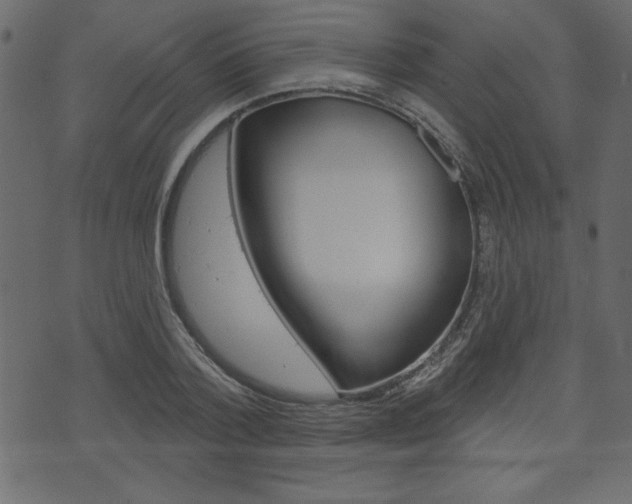 X0000071820788200606301009
