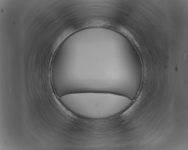 X0000071820802200606301009