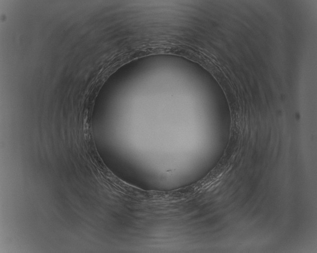 X0000071820818200606301008