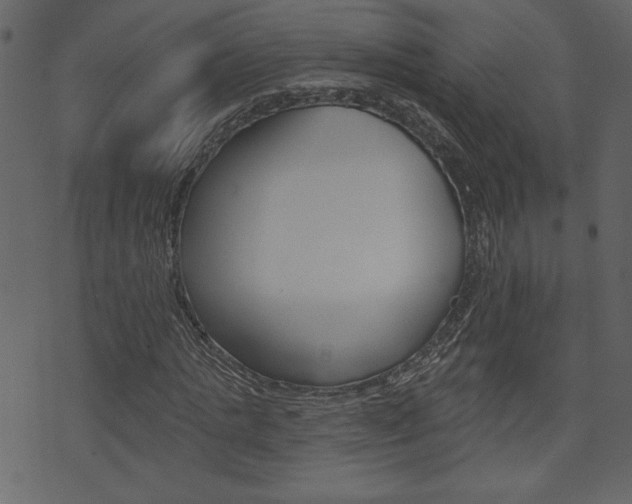 X0000071820821200606301008