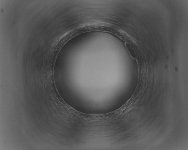 X0000071820822200606301008