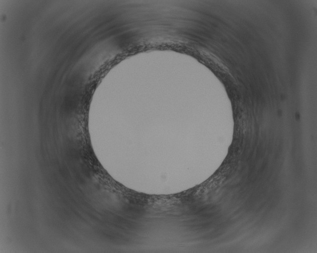 X0000071820824200606301008