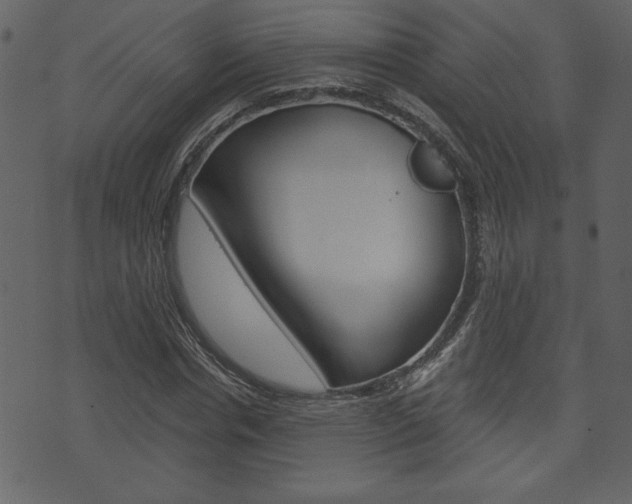 X0000071820826200606301008