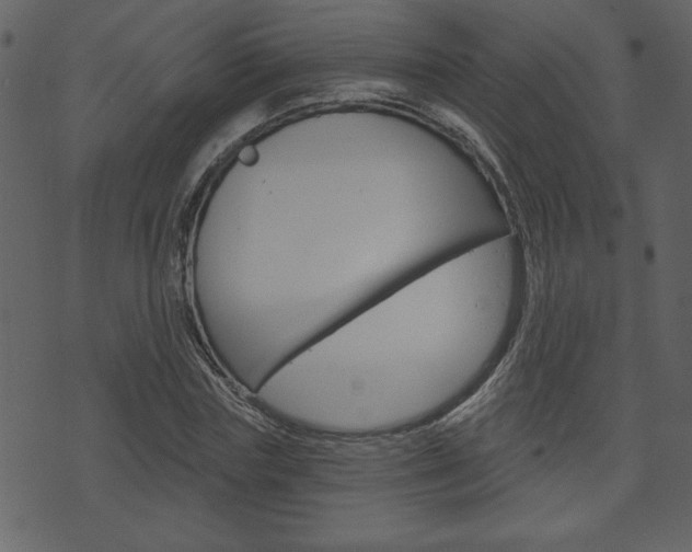 X0000071820827200606301008