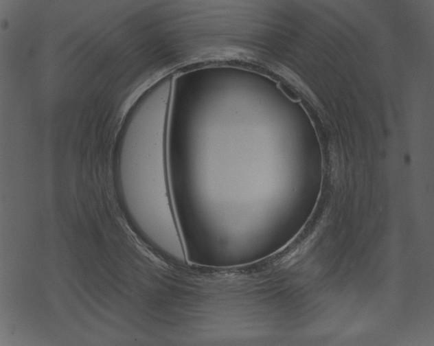 X0000071820834200606301008