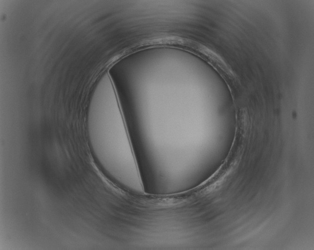 X0000071820841200606301008