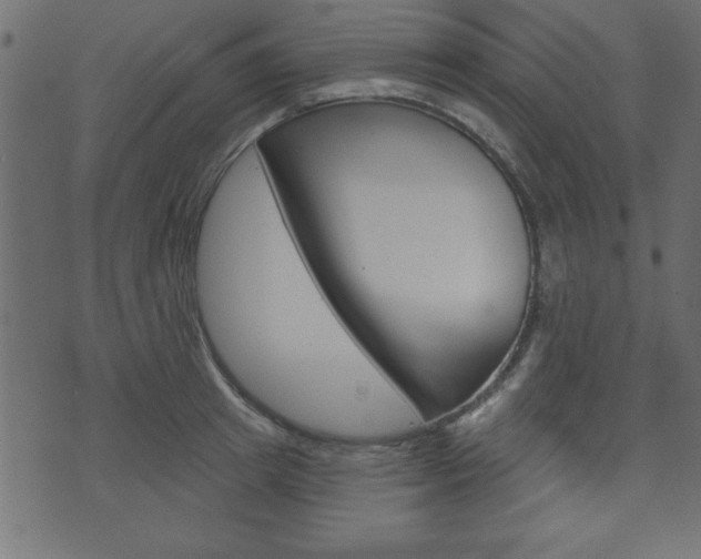 X0000071820849200606301009