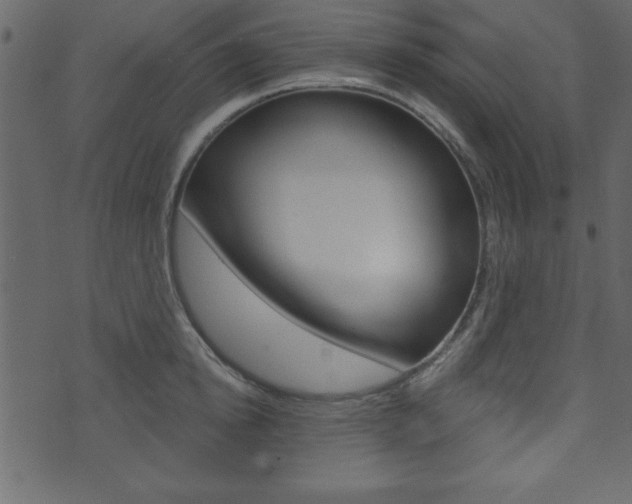 X0000071820854200606301009