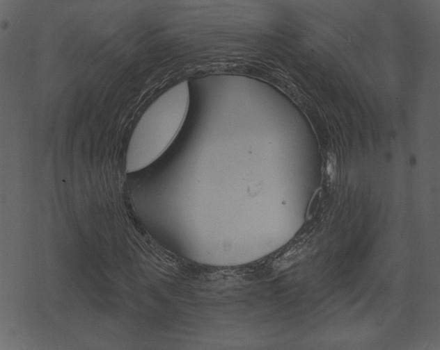 X0000071820867200606301008