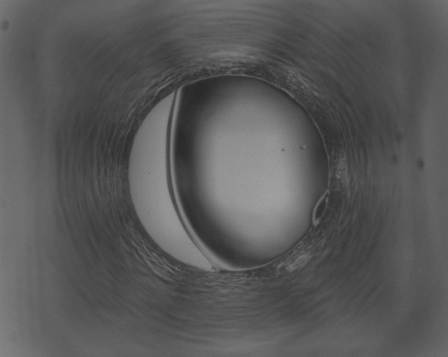 X0000071820868200606301008