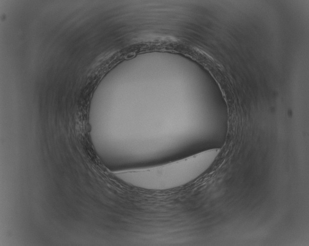X0000071820869200606301008