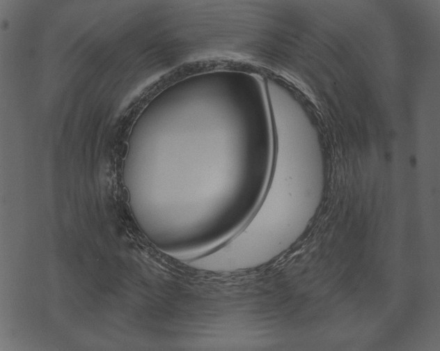 X0000071820872200606301008