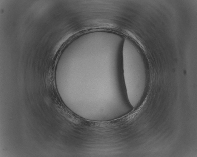 X0000071820875200606301008