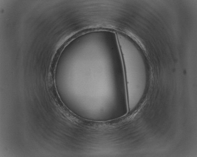 X0000071820876200606301008