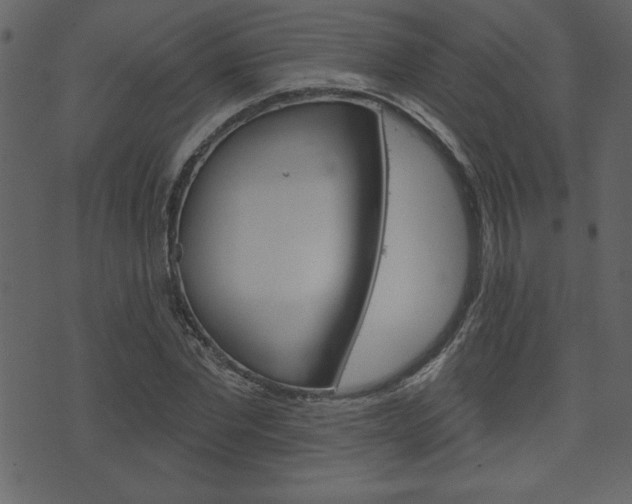 X0000071820877200606301008