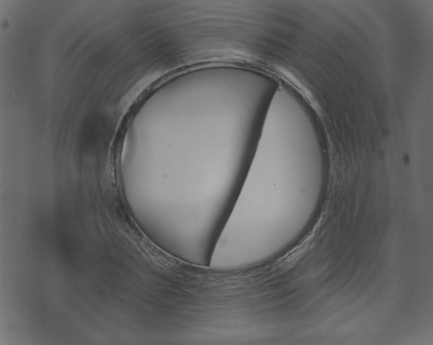 X0000071820883200606301008