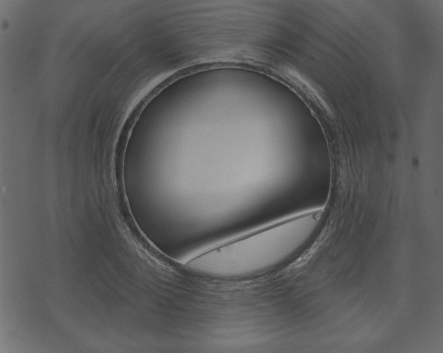 X0000071820884200606301008