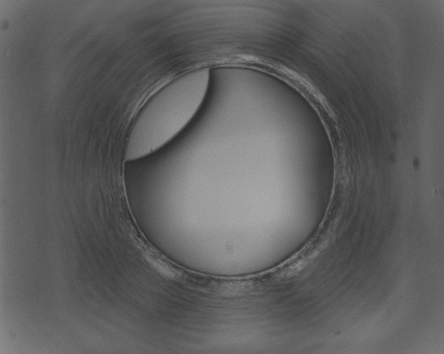 X0000071820889200606301008