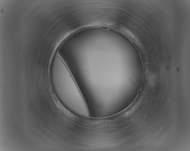 X0000071820892200606301008