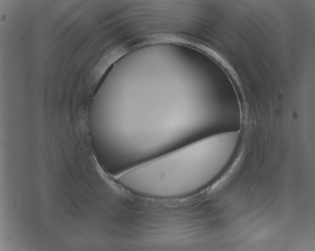 X0000071820905200606301007
